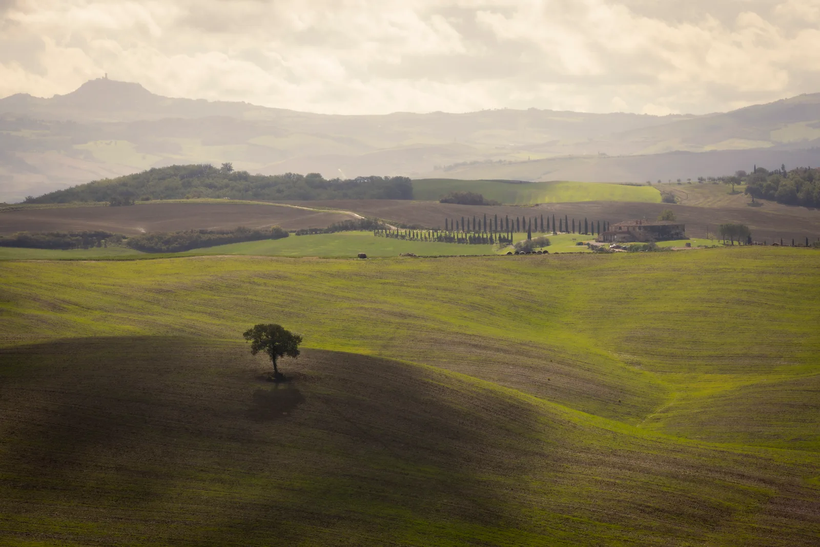 The rolling hills and cypress trees of the Tuscan countryside, Italy.